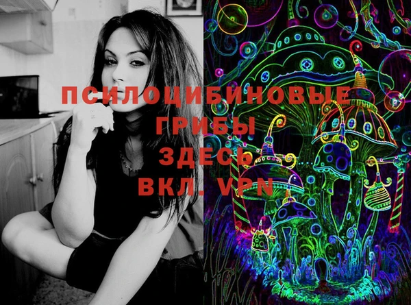 тгк Верея