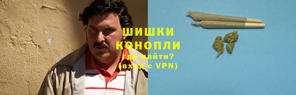 spice Верхний Тагил