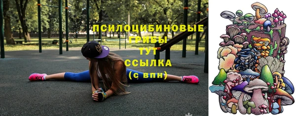 тгк Верея