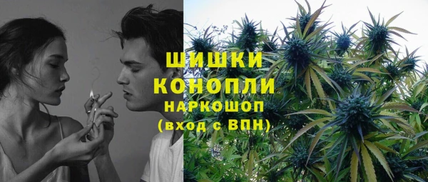тгк Верея