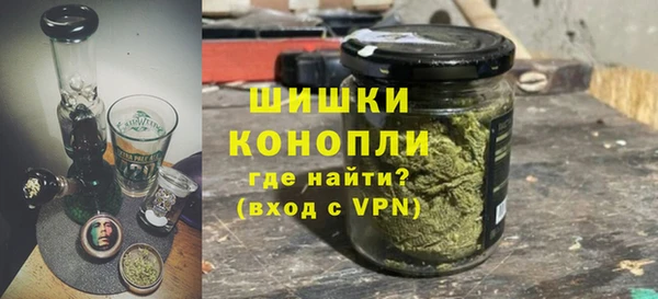 шишки Лабытнанги