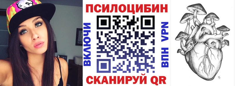 blacksprut как войти Горячеводский Псилоцибиновые грибы мицелий